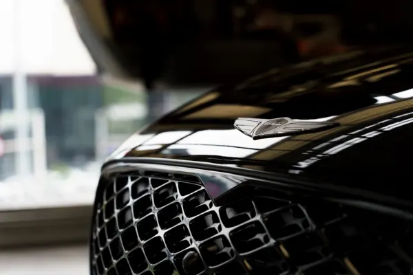 קזינו לאקי פנטס בינגו אפליקציית Android/iOS